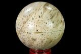 Polished Petrified Palmwood (Palmoxylon) Sphere #167623-1
